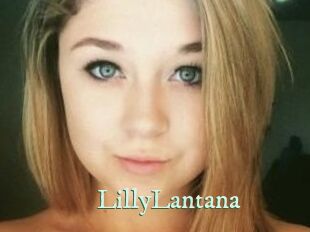 LillyLantana