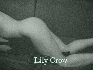 Lily_Crow