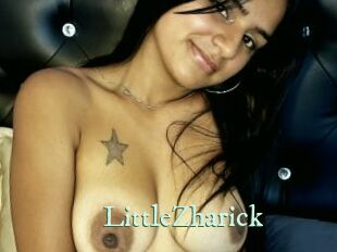LittleZharick Top Blog X