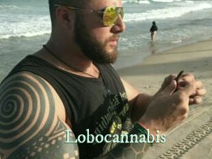 Lobocannabis