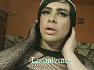 Ladanivenus