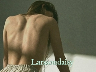 Larssondaisy