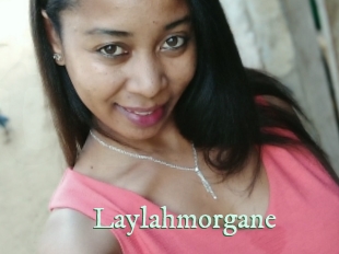 Laylahmorgane