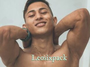 Leosixpack