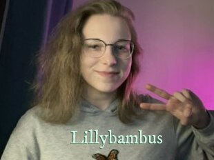 Lillybambus