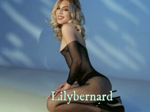 Lilybernard