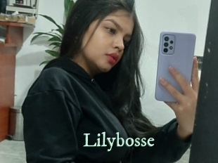 Lilybosse