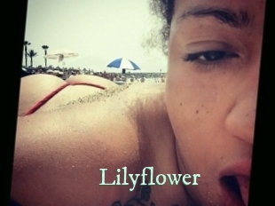 Lilyflower