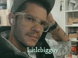 Litlebigguy