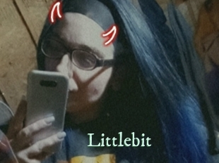 Littlebit