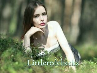 littleredcheeks Top Blog X
