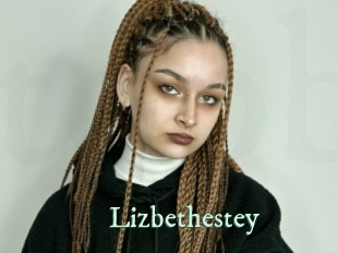 lizbethestey Top Blog X