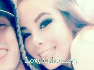 Lovebirds02477