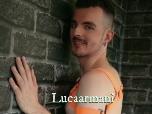 Lucaarmani