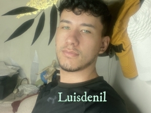 luisdenil Top Blog X