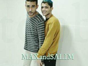 MAXandSALIM