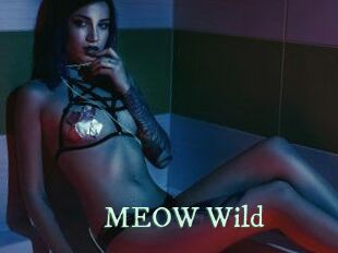 MEOW_Wild