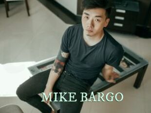 MIKE_BARGO Top Blog X