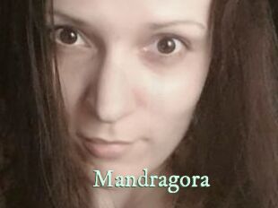 Mandragora