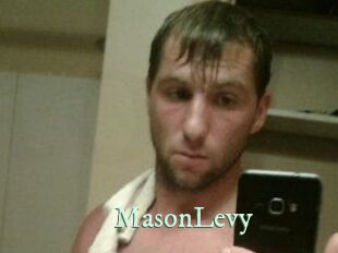 Mason_Levy