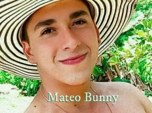 Mateo_Bunny