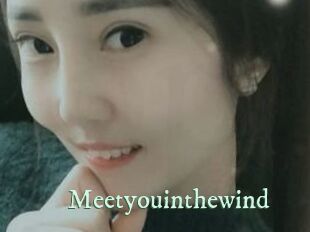 Meetyouinthewind