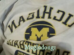 Meglodong1