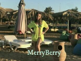 MerryBerry Top Blog X