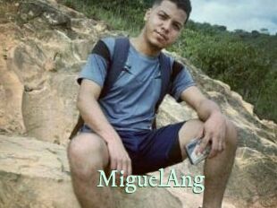 MiguelAng Top Blog X