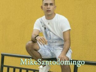 MikeSantodomingo