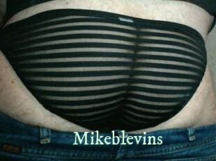 Mikeblevins