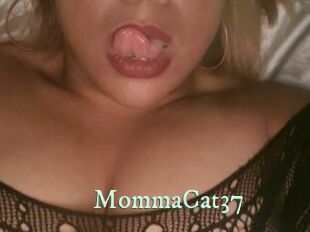 MommaCat37