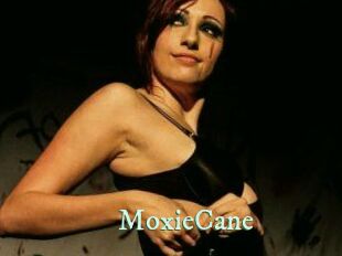 Moxie_Cane