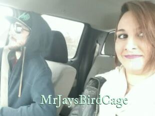 MrJaysBirdCage