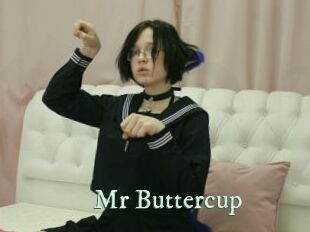 Mr_Buttercup