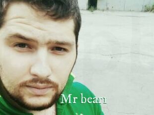 Mr_bear1