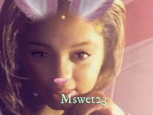 Mswet23