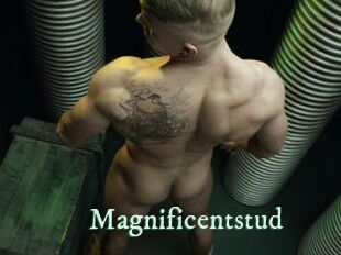 Magnificentstud