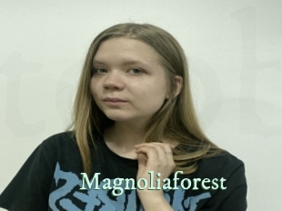 Magnoliaforest