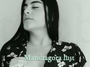 Mandragora_lust