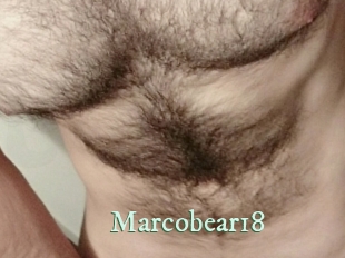 Marcobear18