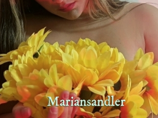 mariansandler Top Blog X