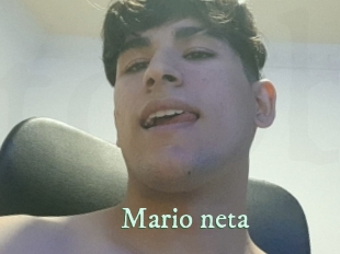 Mario_neta