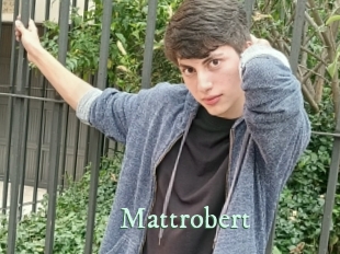 Mattrobert