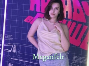 Meganfelt