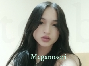 Meganosori