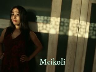 meikoli Top Blog X