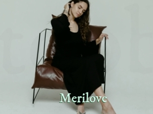 merilove Top Blog X