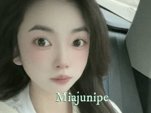 miajunipe Top Blog X