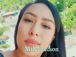 Mileyhudson